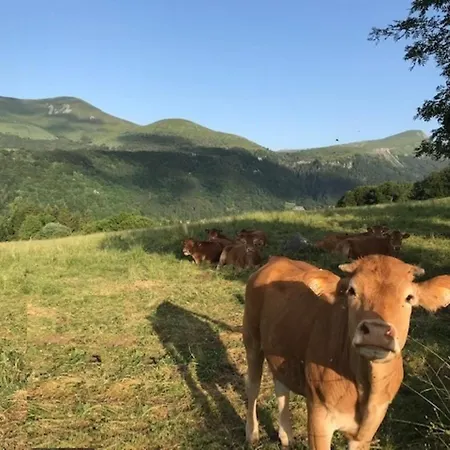 Avec Parking Prive - 4 Pers - Fr-1-608-257 * Mont-Dore